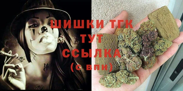 spice Богородск