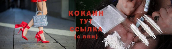 спайс Богданович