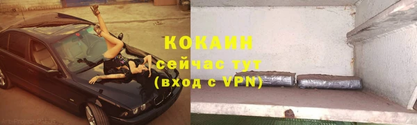 спайс Богданович