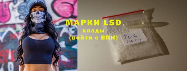 спайс Богданович