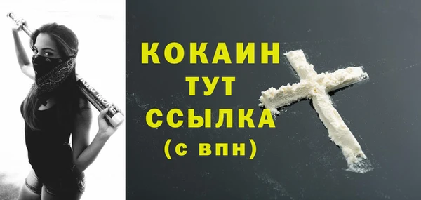 ECSTASY Богородицк
