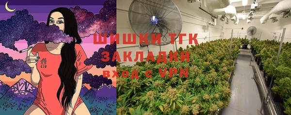 ECSTASY Богородицк