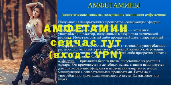 спайс Богданович