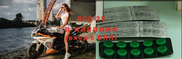 спайс Богданович