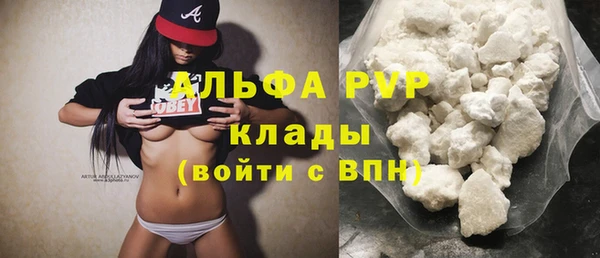 ECSTASY Богородицк